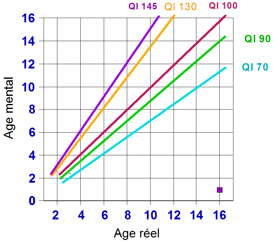 bilan-QI-3