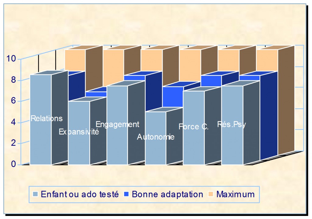 bilan-perso-1