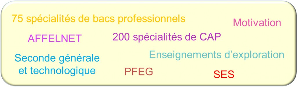 orientation-collegiens-1